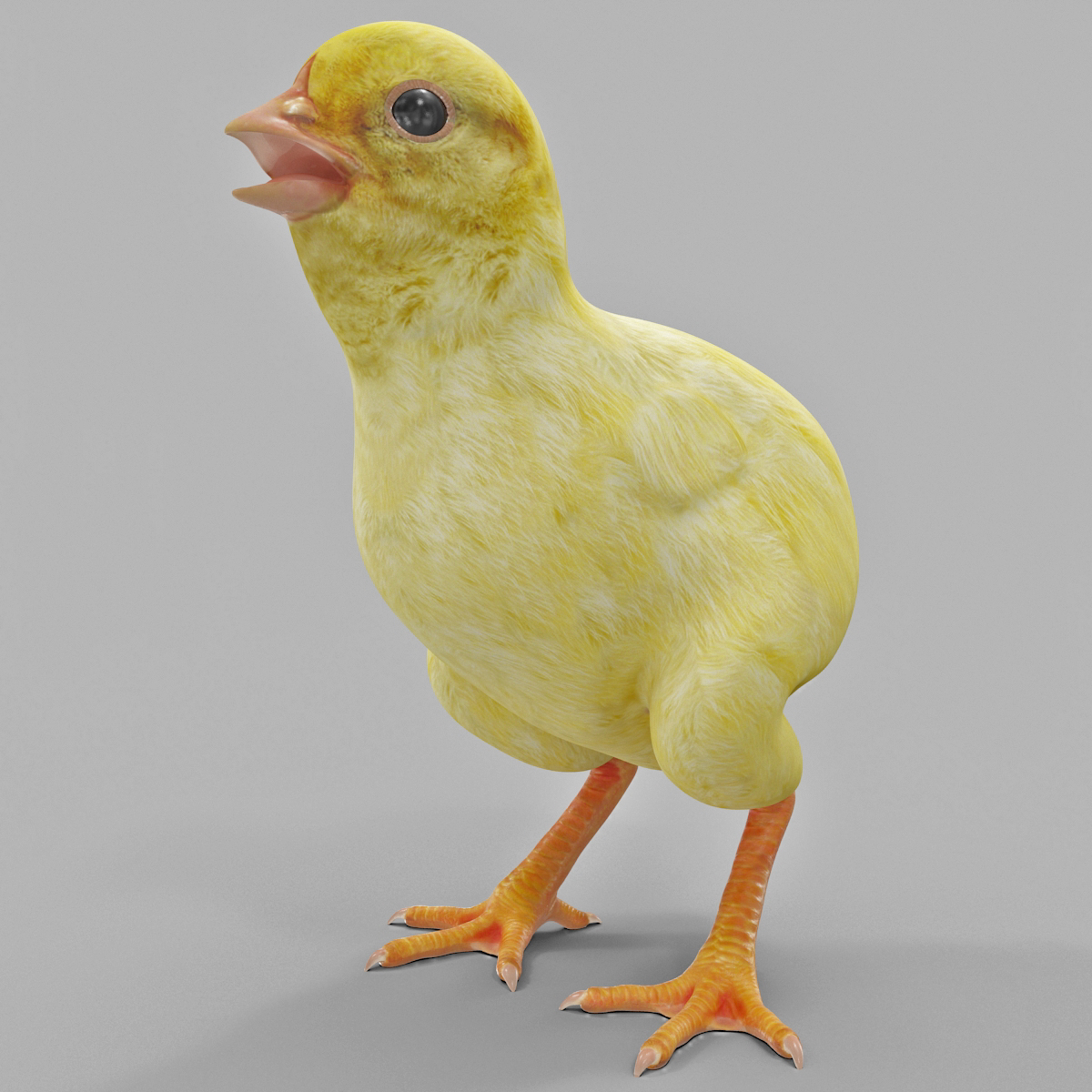 Chick 3D model