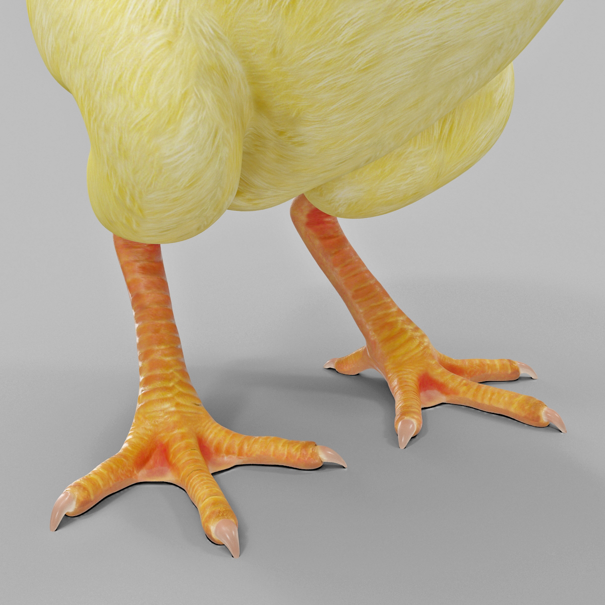 Chick 3D model