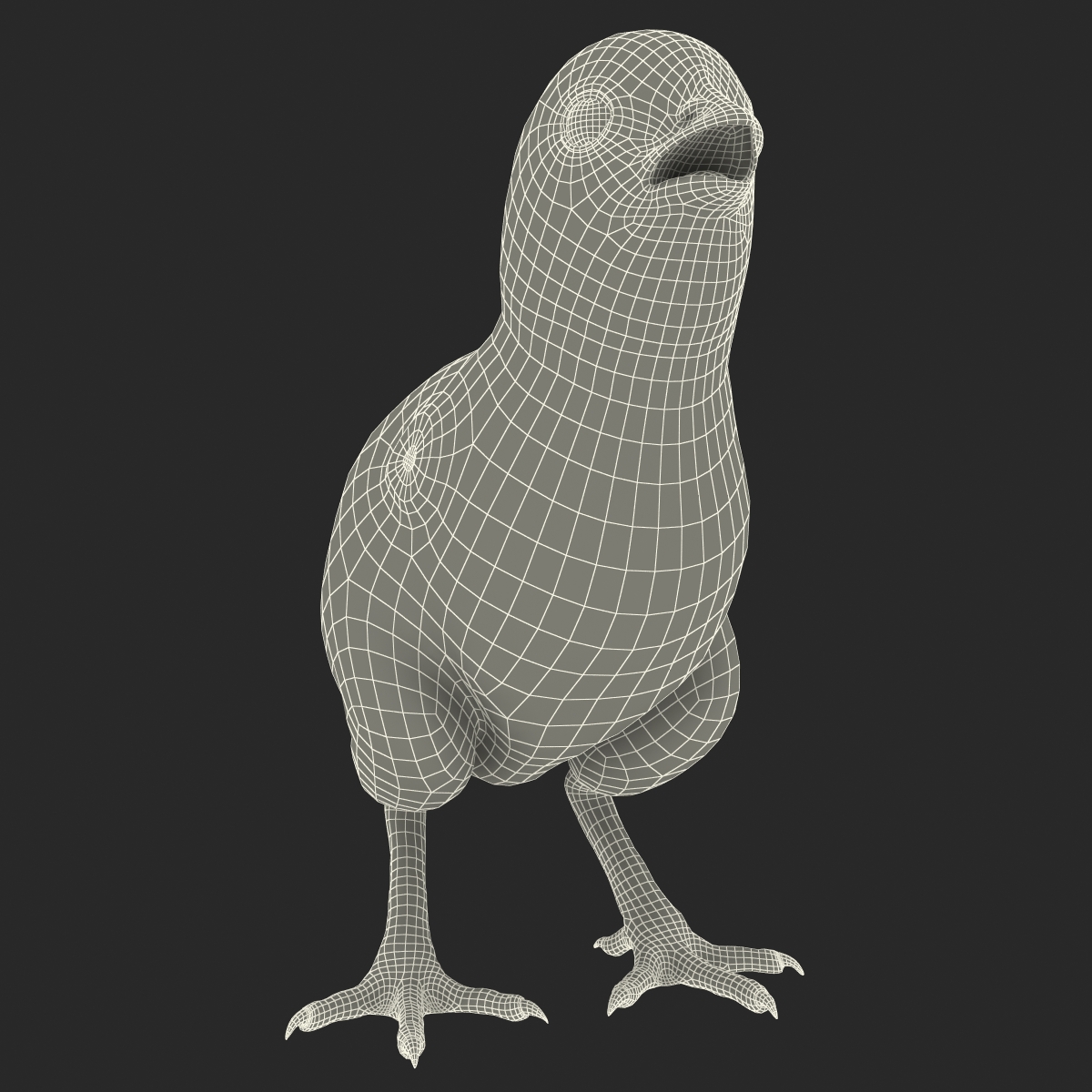 Chick 3D model