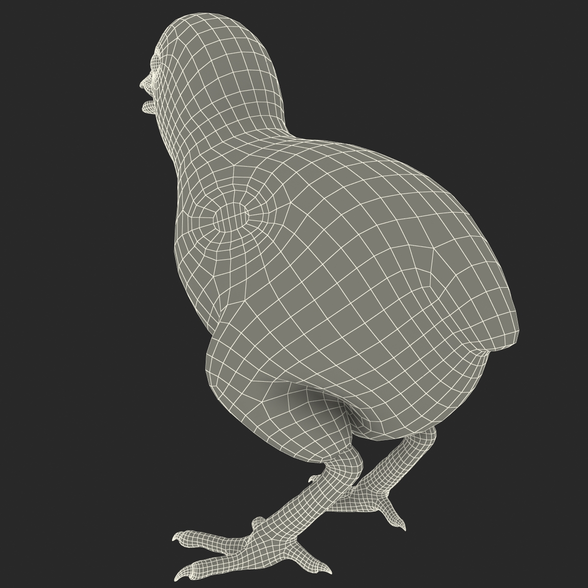 Chick 3D model