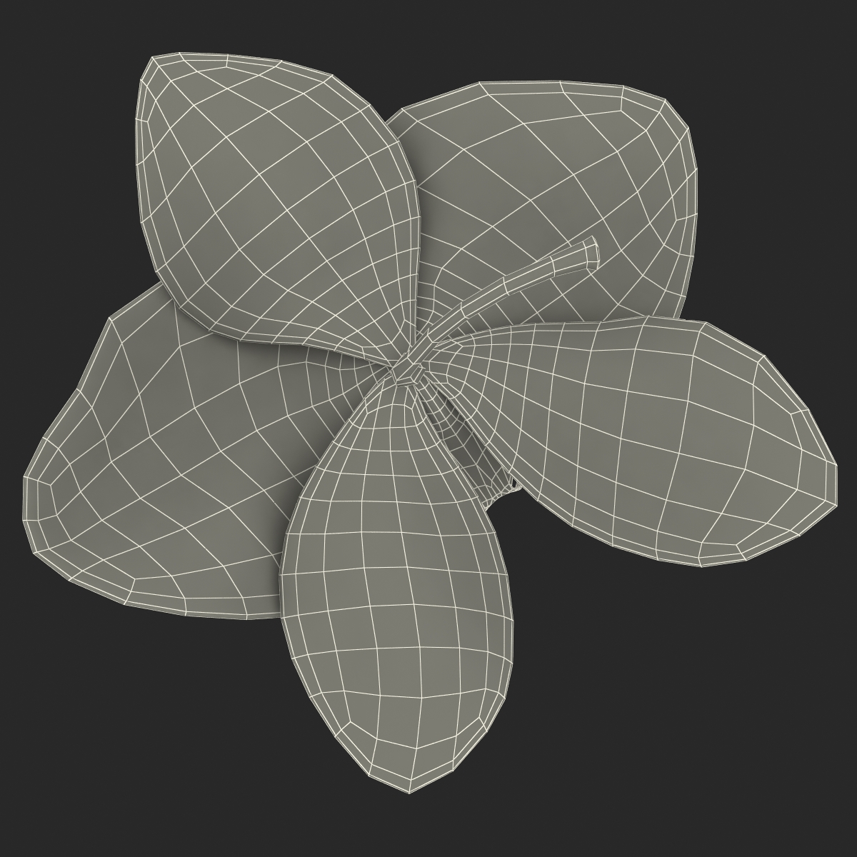 3D Orchid Flower model