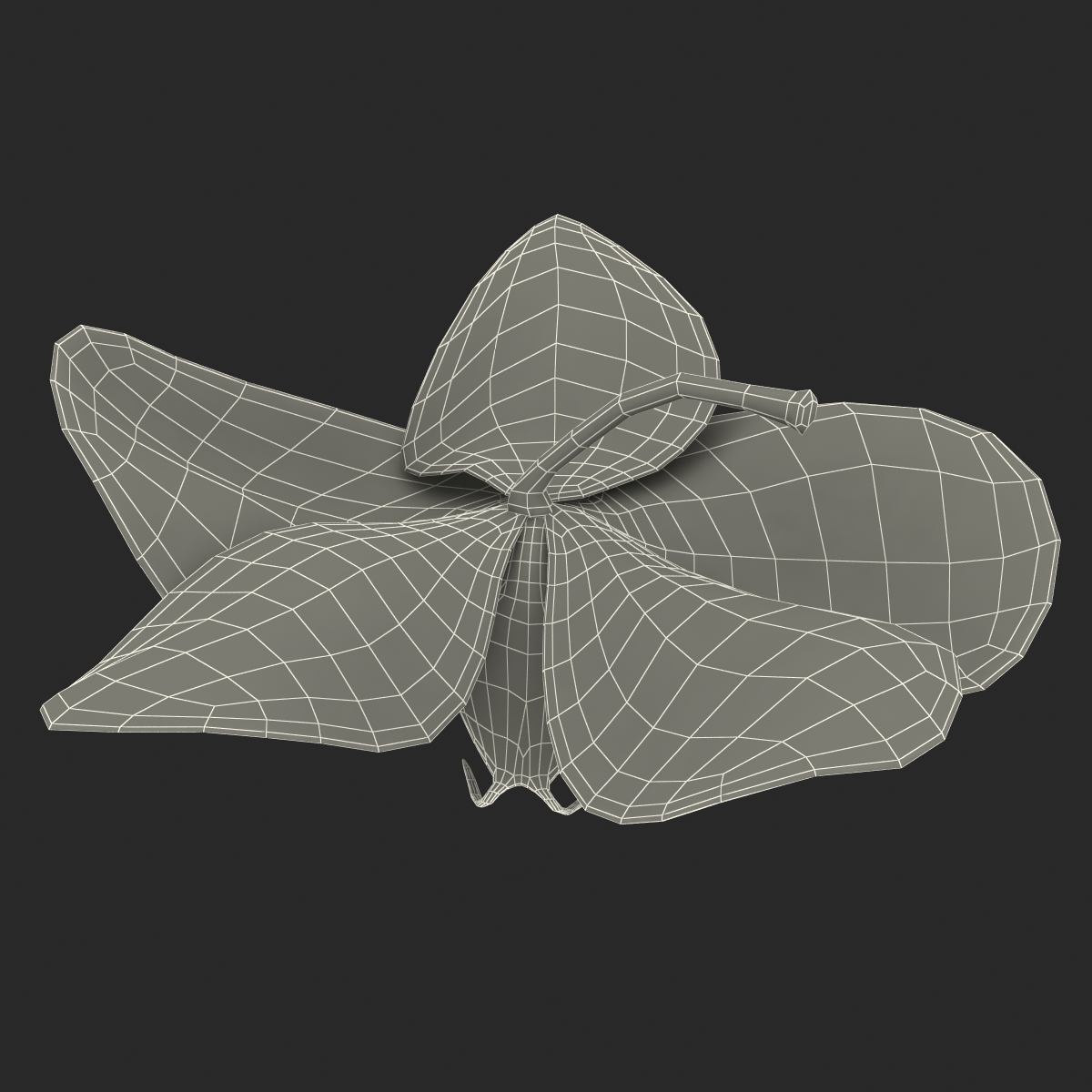 3D Orchid Flower model