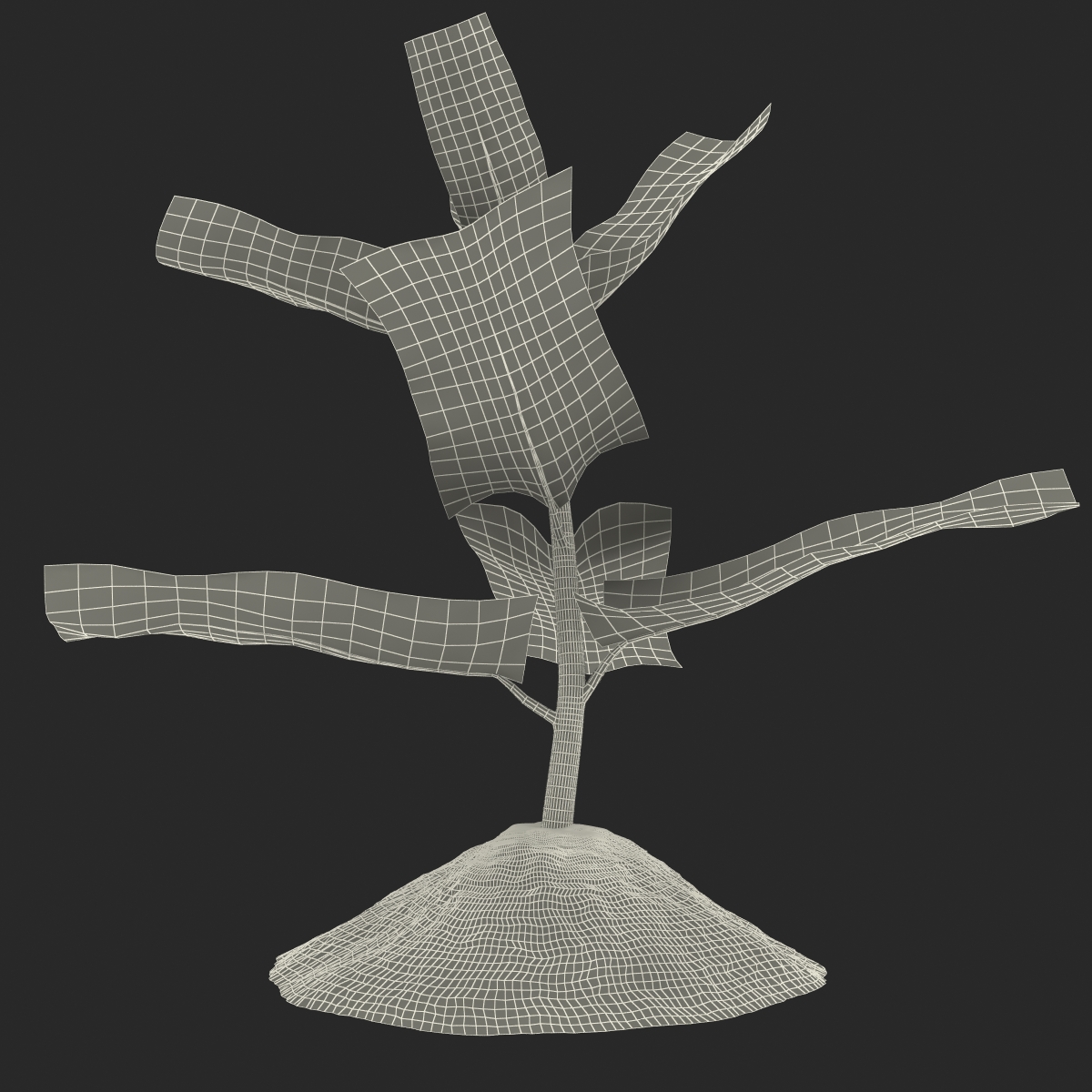 Plant Sprout 3D