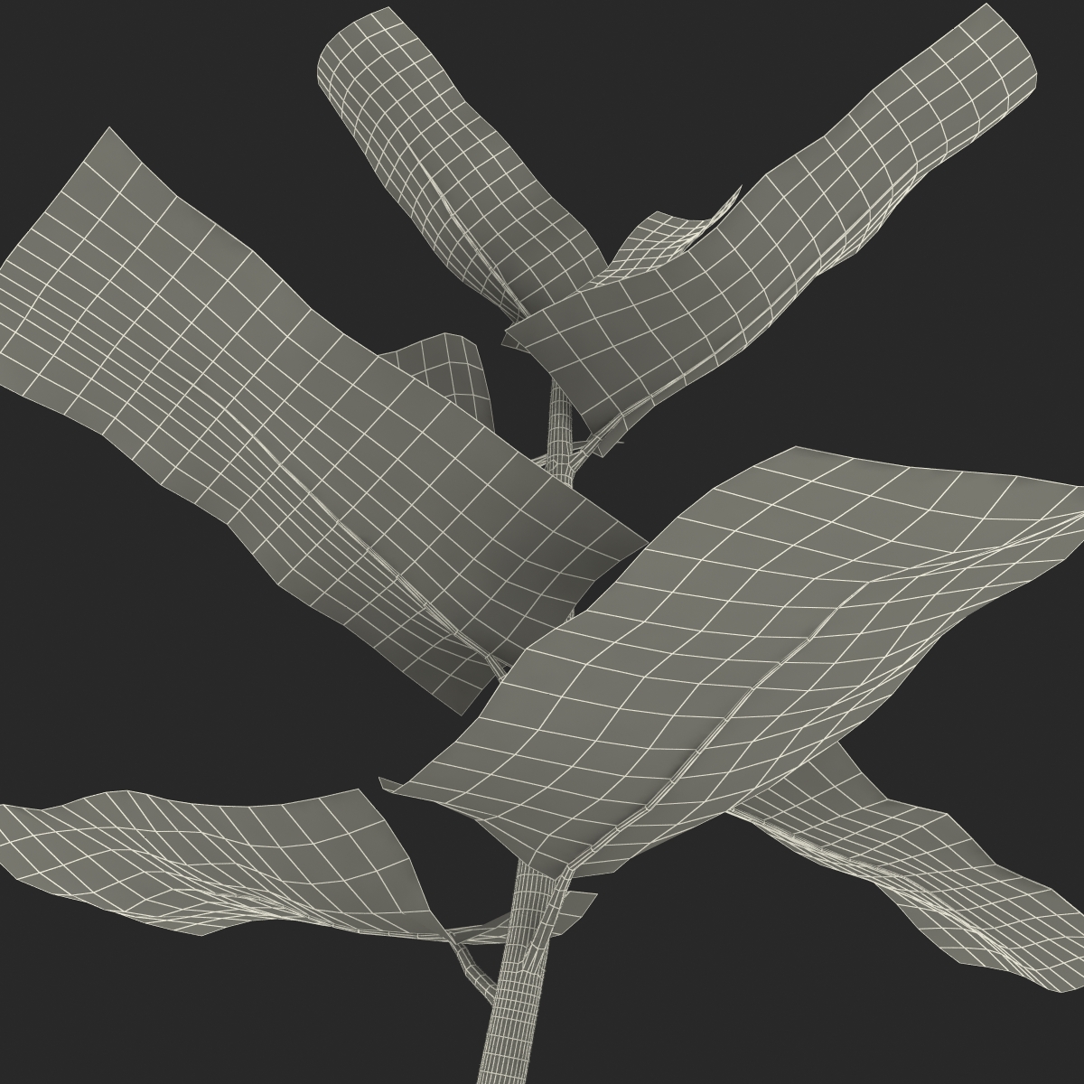 Plant Sprout 3D