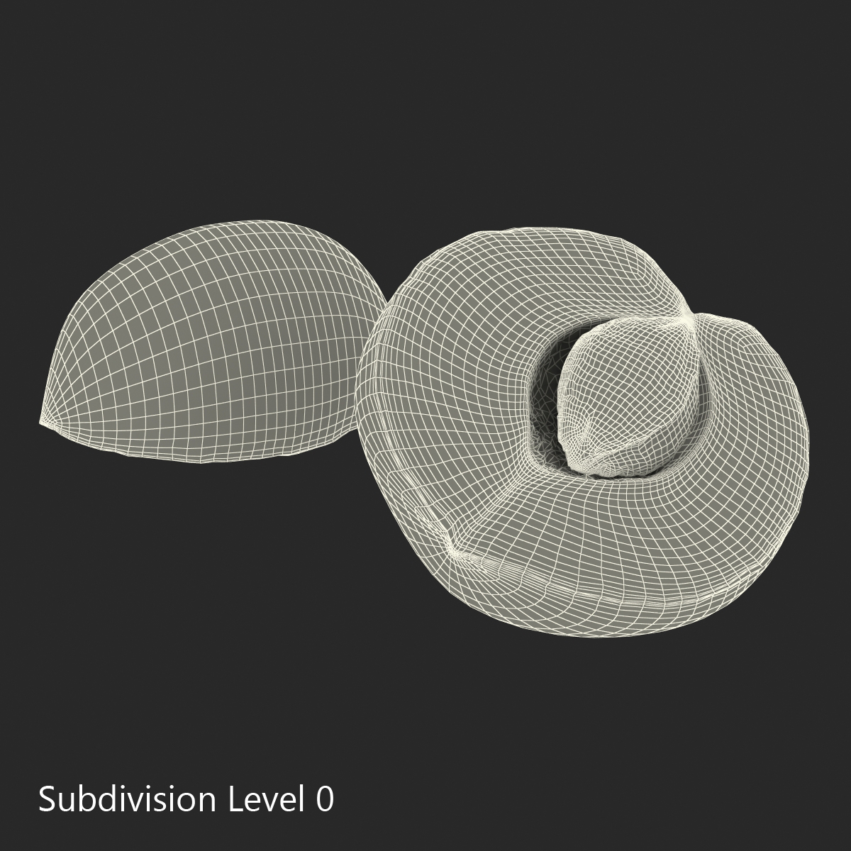 3D Apricot Cross Section