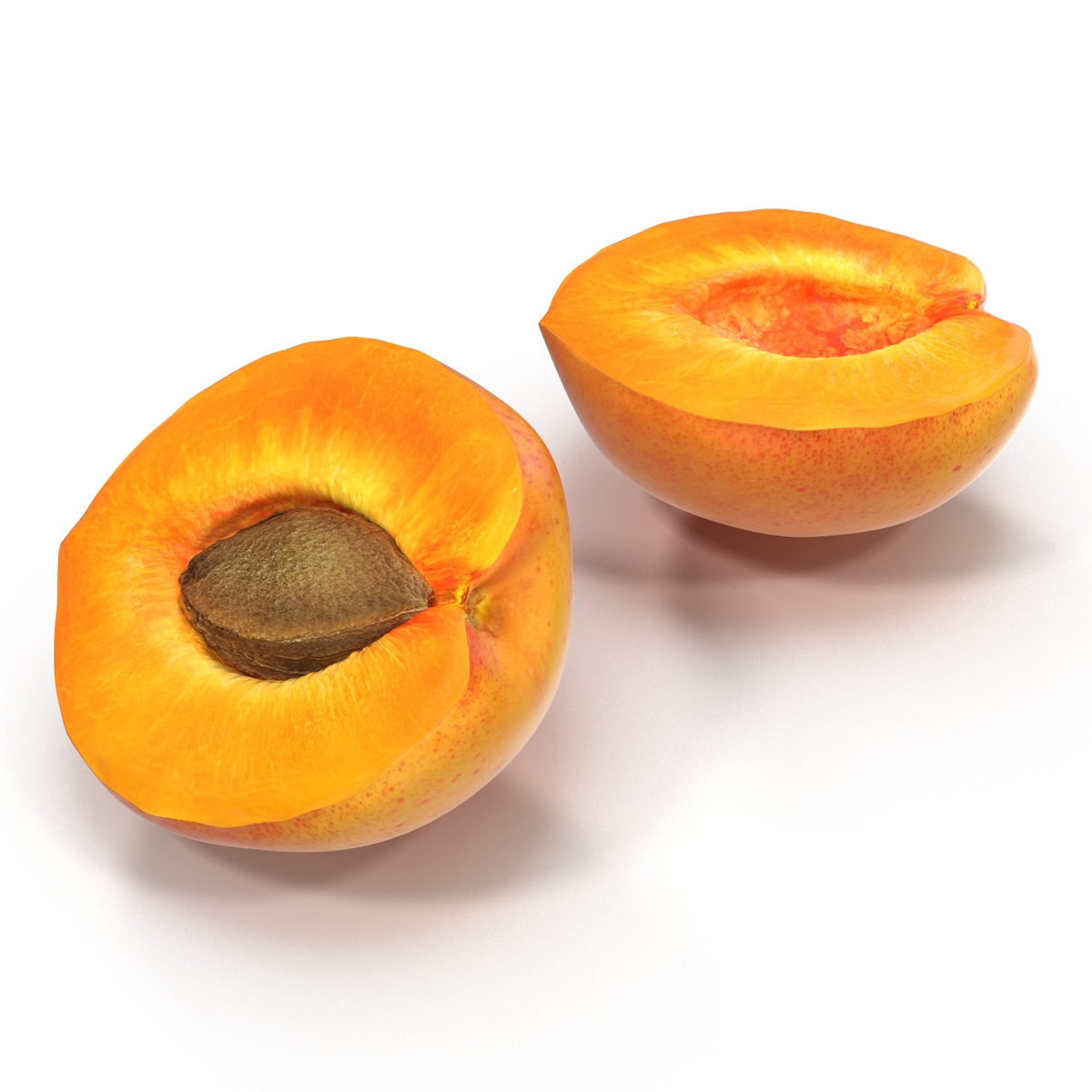 3D Apricot Cross Section