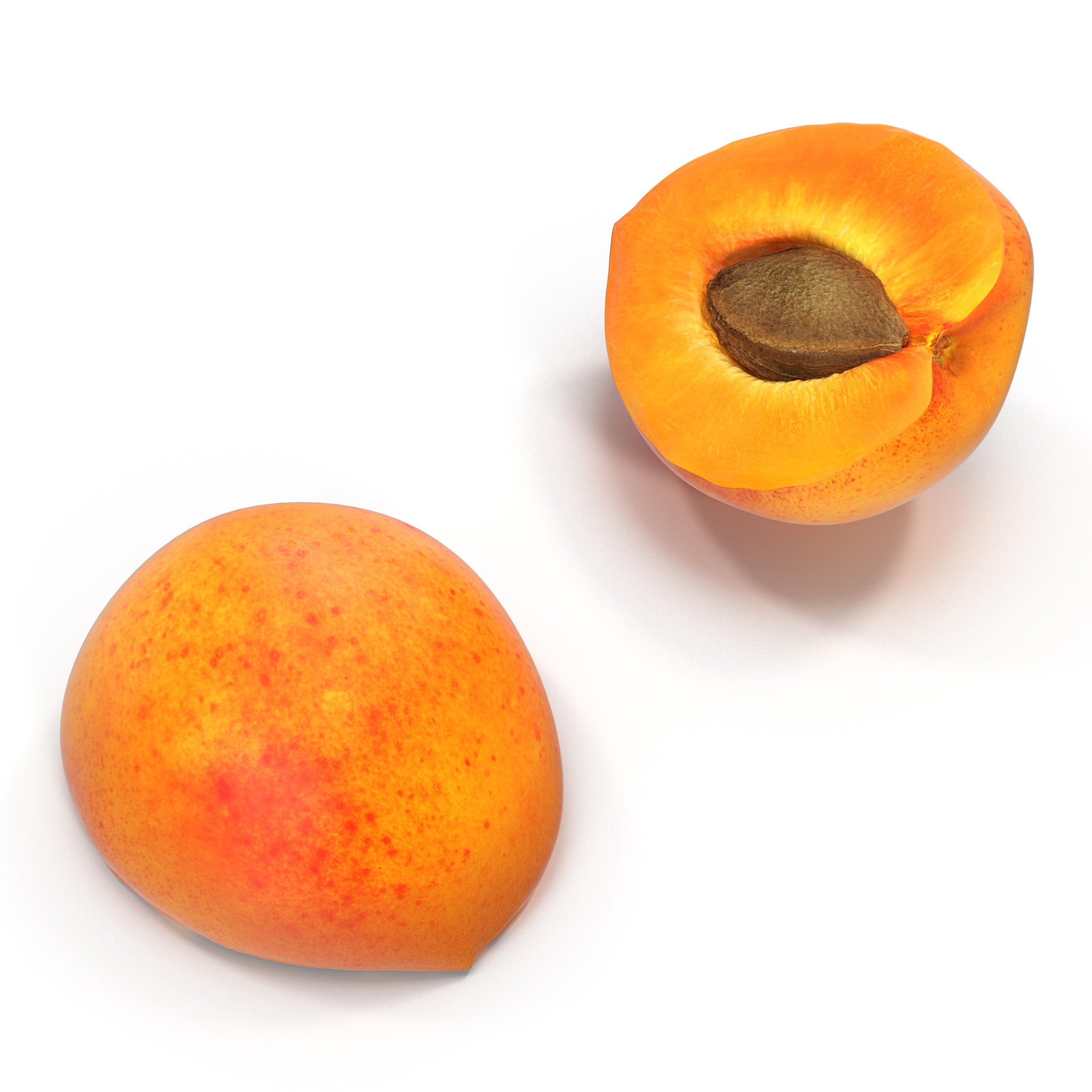 3D Apricot Cross Section 2 model