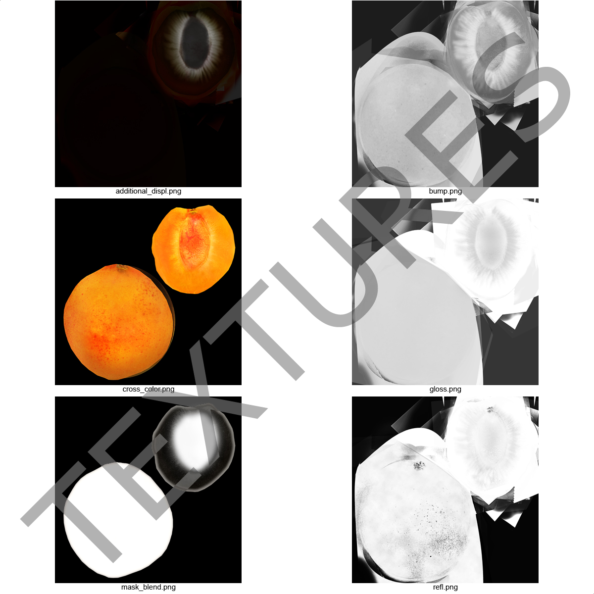 3D Apricot Cross Section 2 model