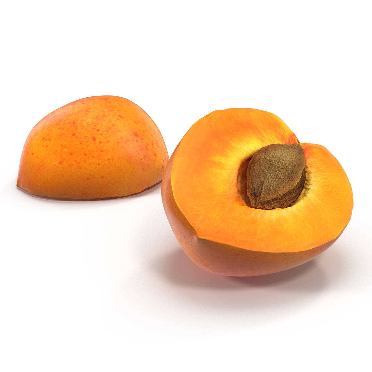 3D Apricot Cross Section 2 model