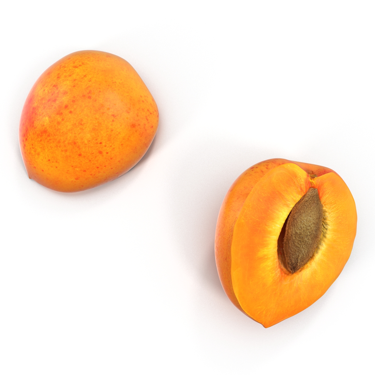 3D Apricot Cross Section 2 model