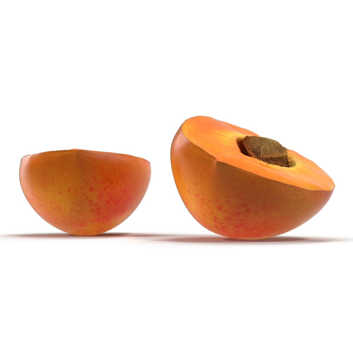 3D Apricot Cross Section 2 model