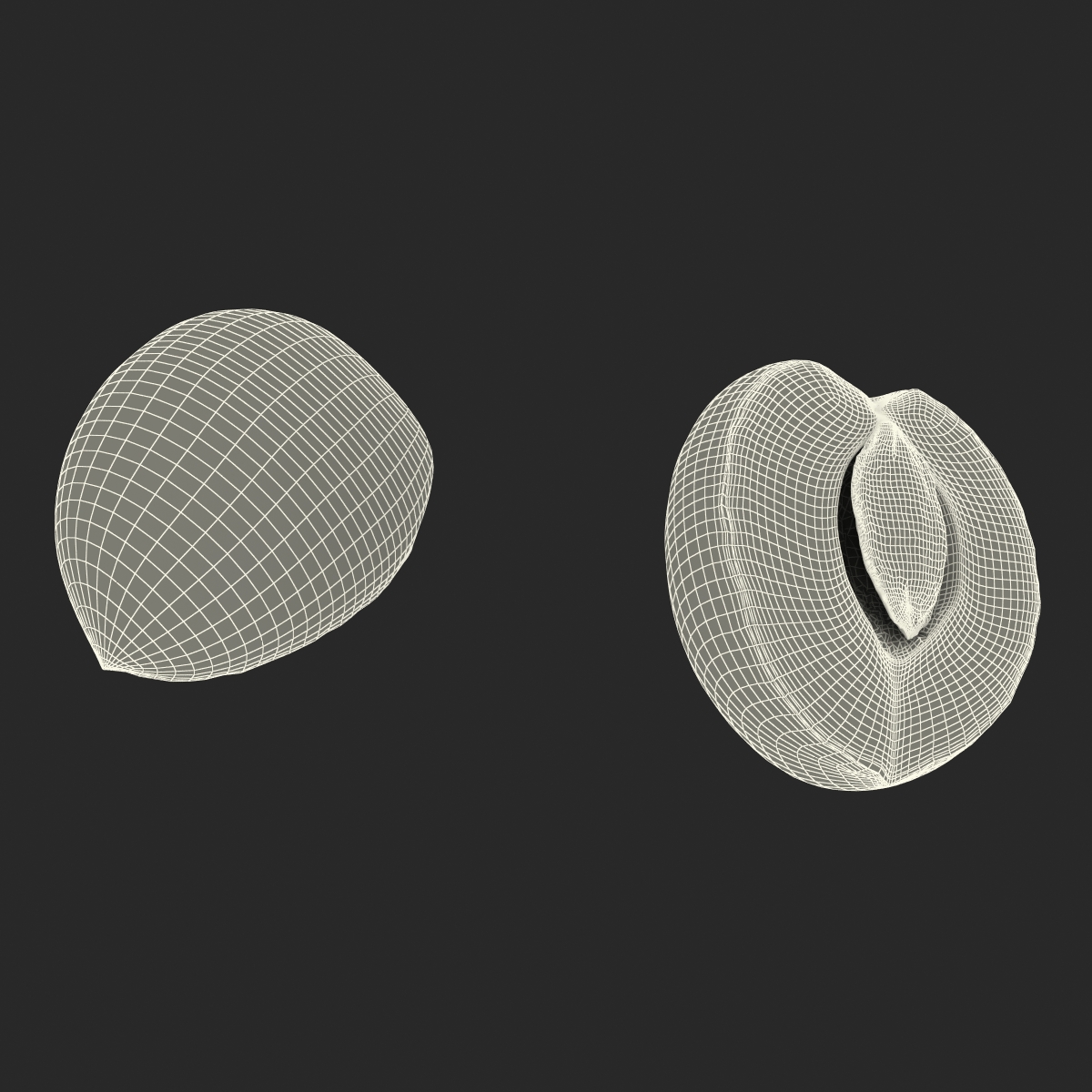 3D Apricot Cross Section 2 model