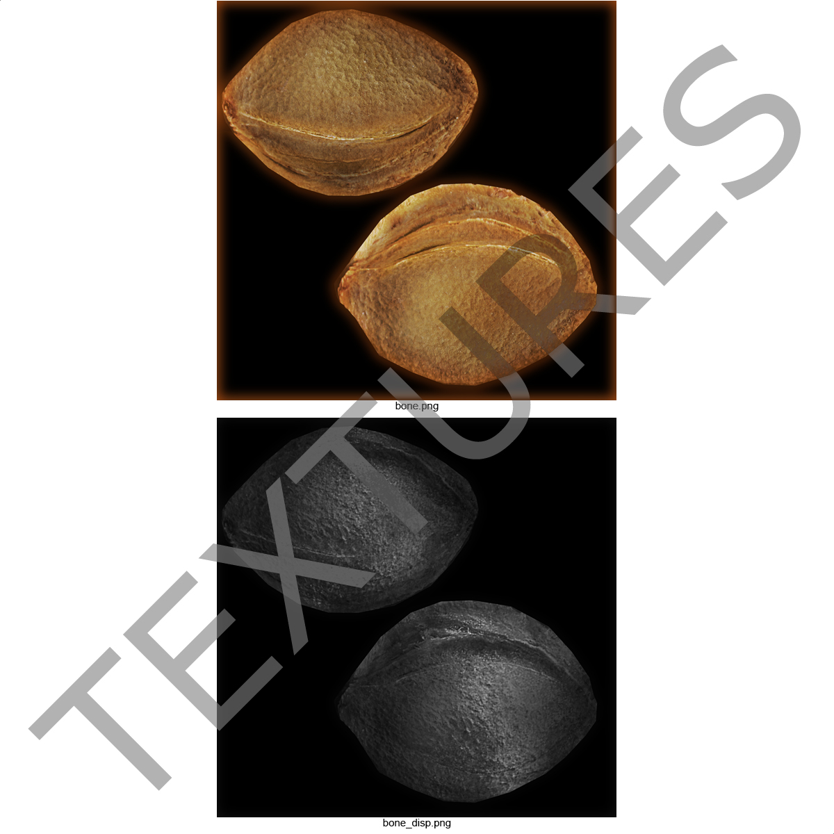 Apricot Kernel 3D model