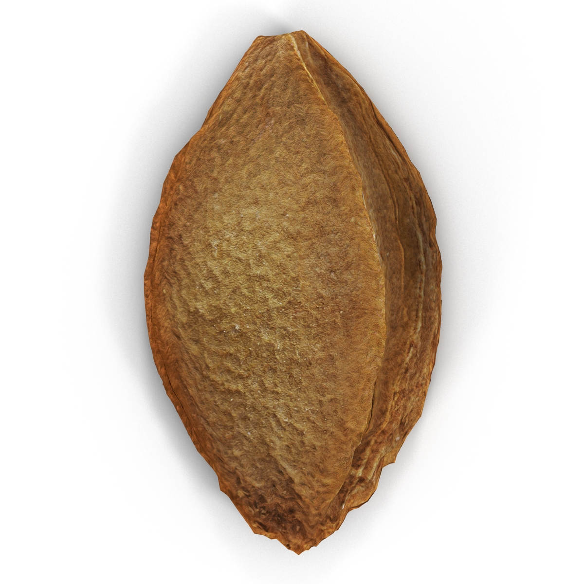 Apricot Kernel 3D model