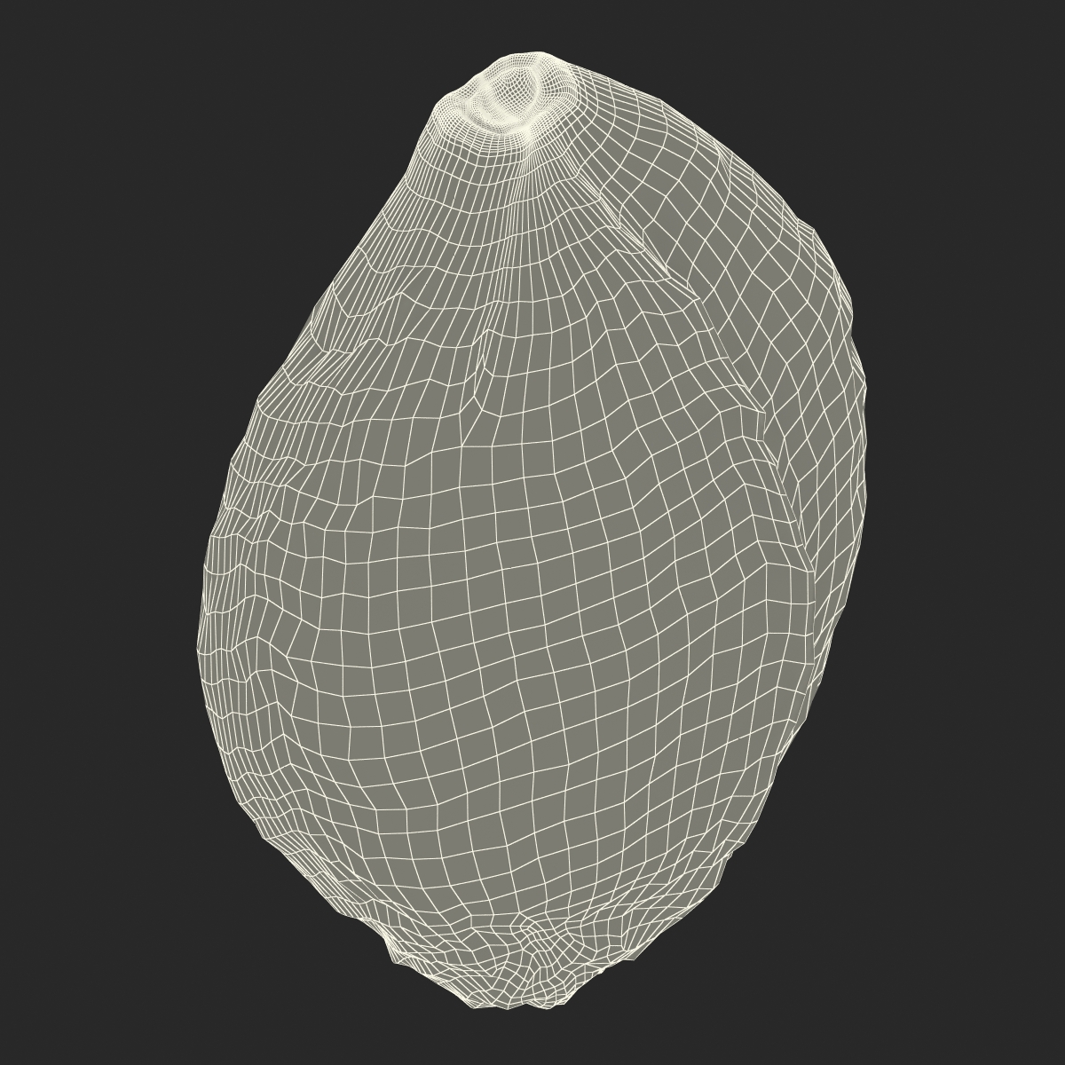 Apricot Kernel 3D model