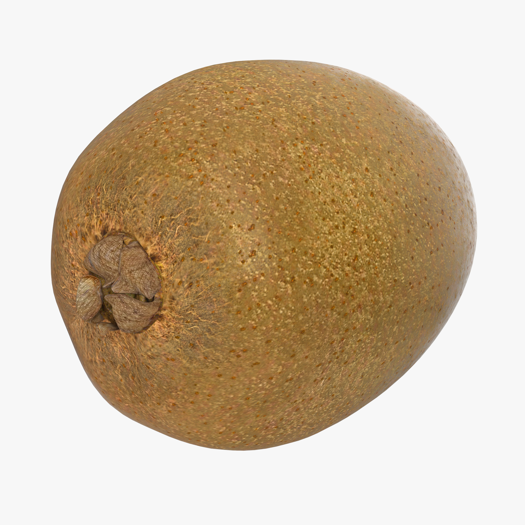 3D model Kiwi