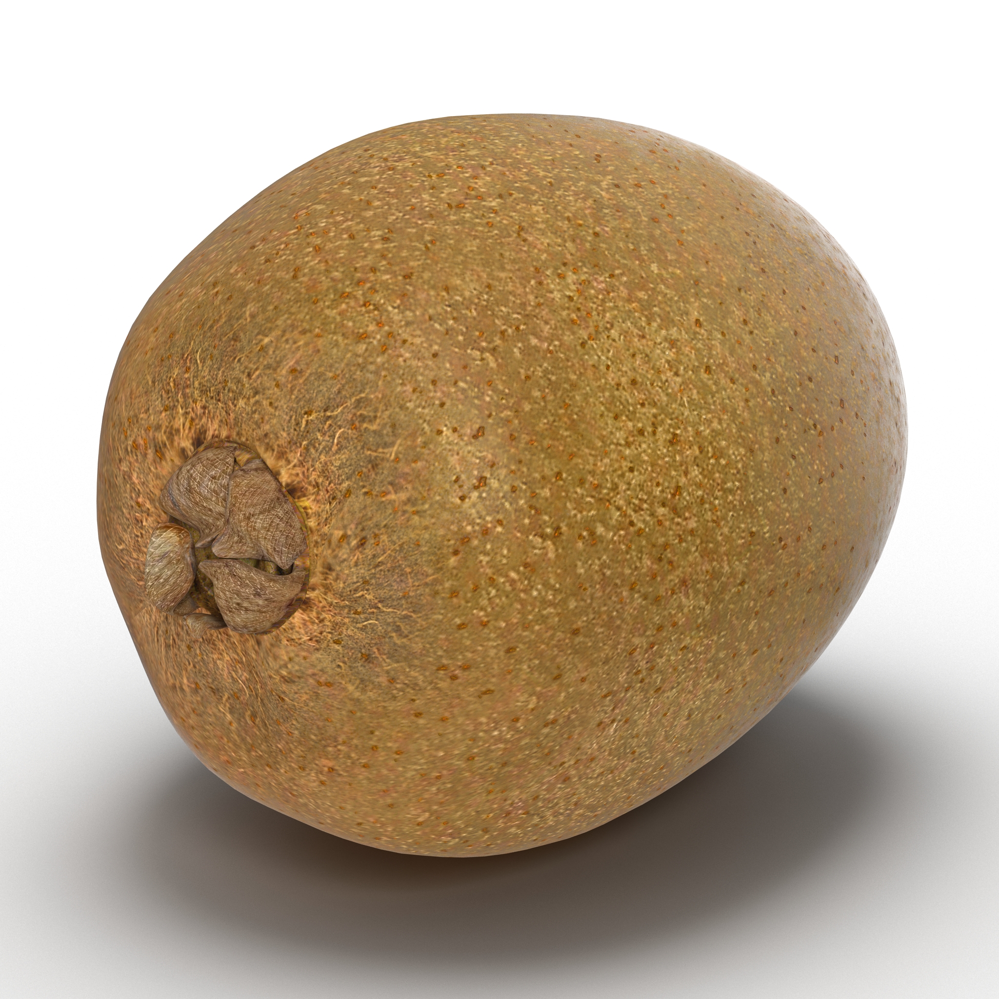 3D model Kiwi