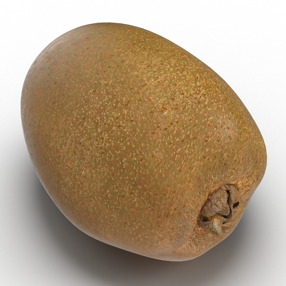 3D model Kiwi