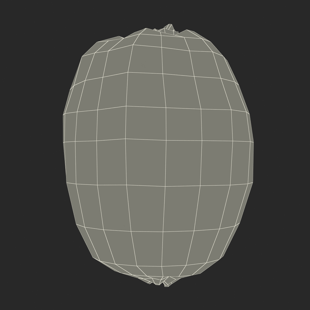 3D model Kiwi