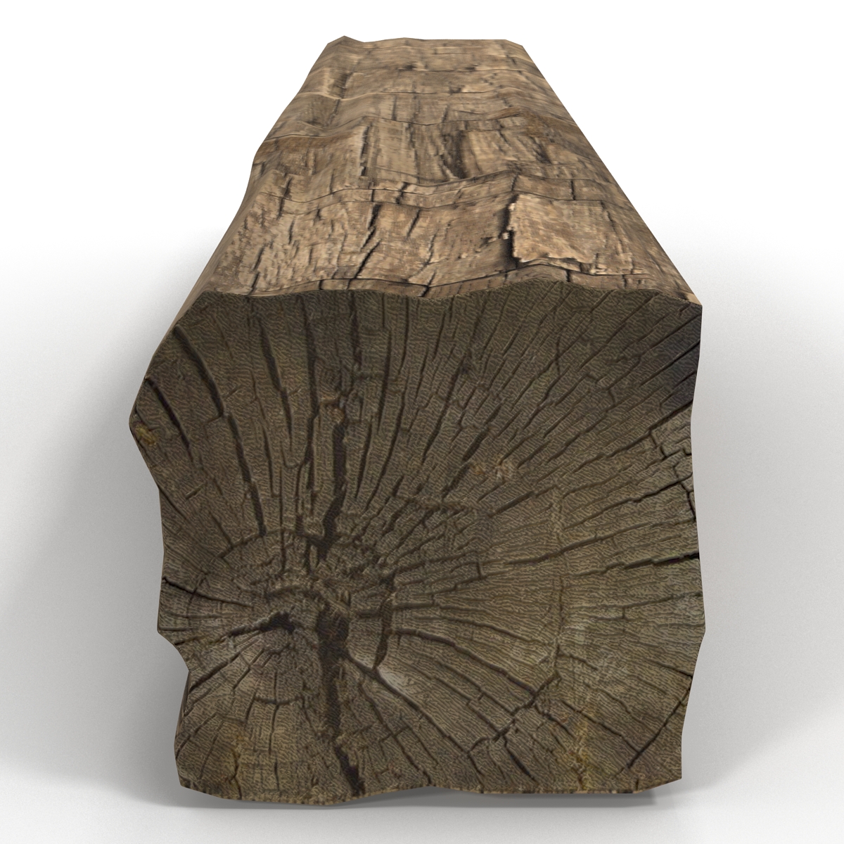 Old Wood Log 3D