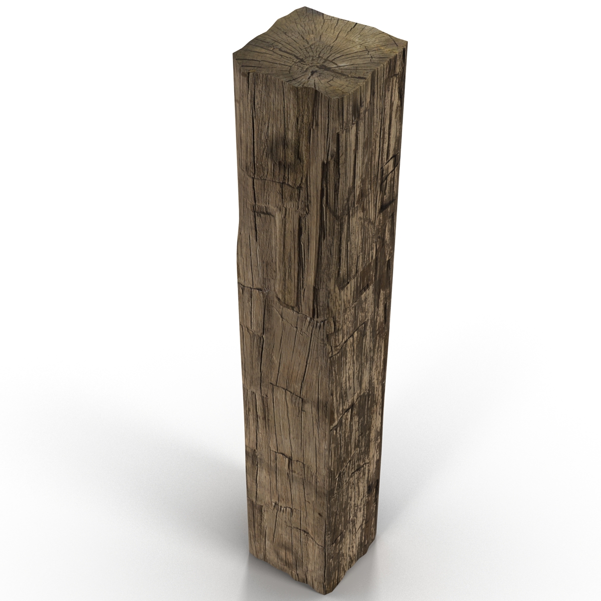 Old Wood Log 3D