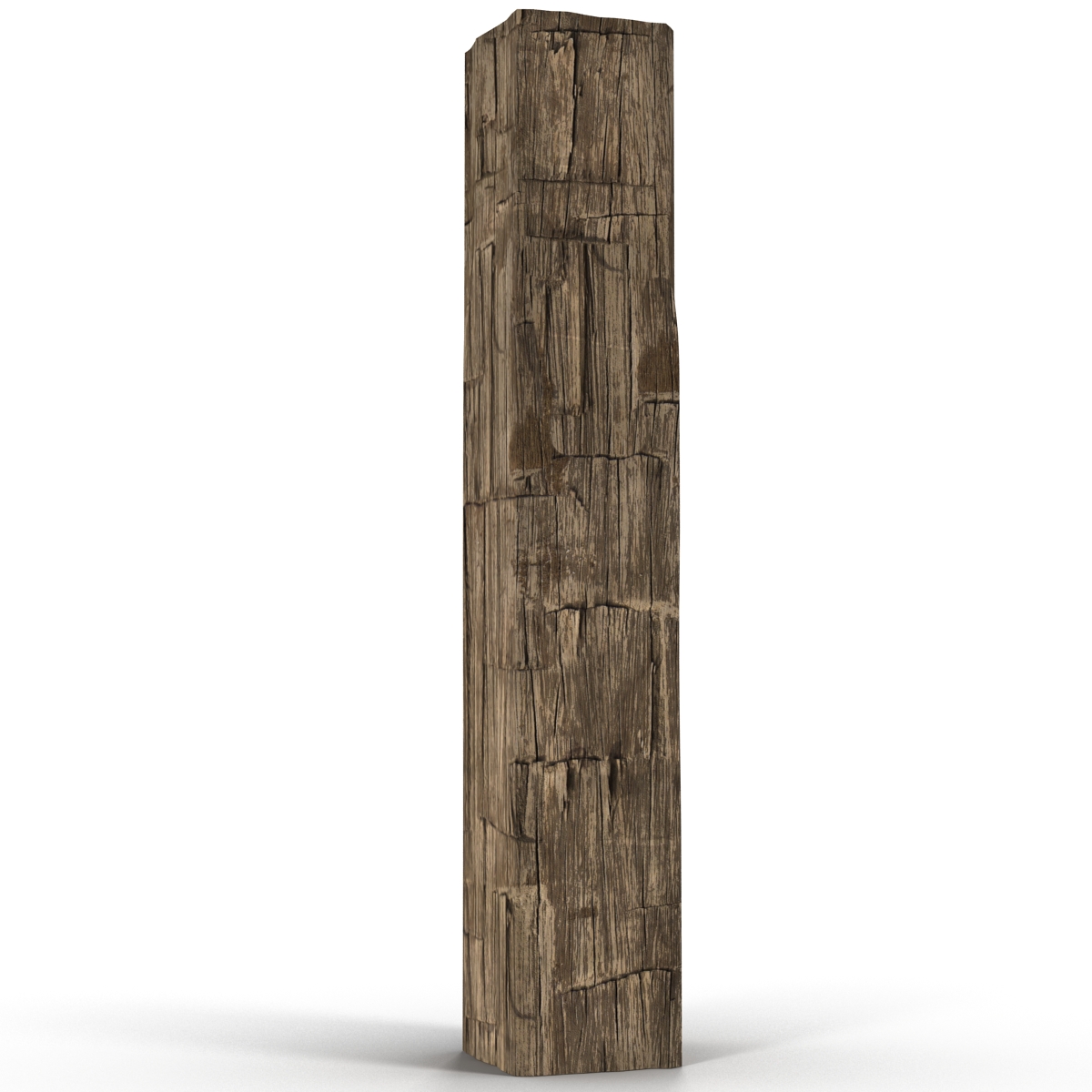 Old Wood Log 3D