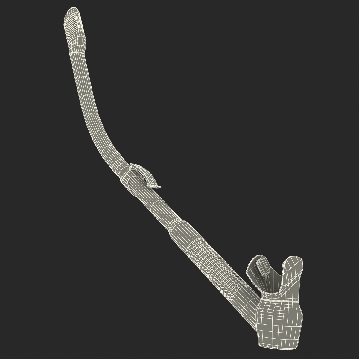 Diving Snorkel 3D model