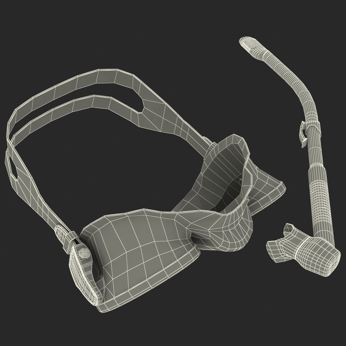 Scuba Mask and Snorkel 3D