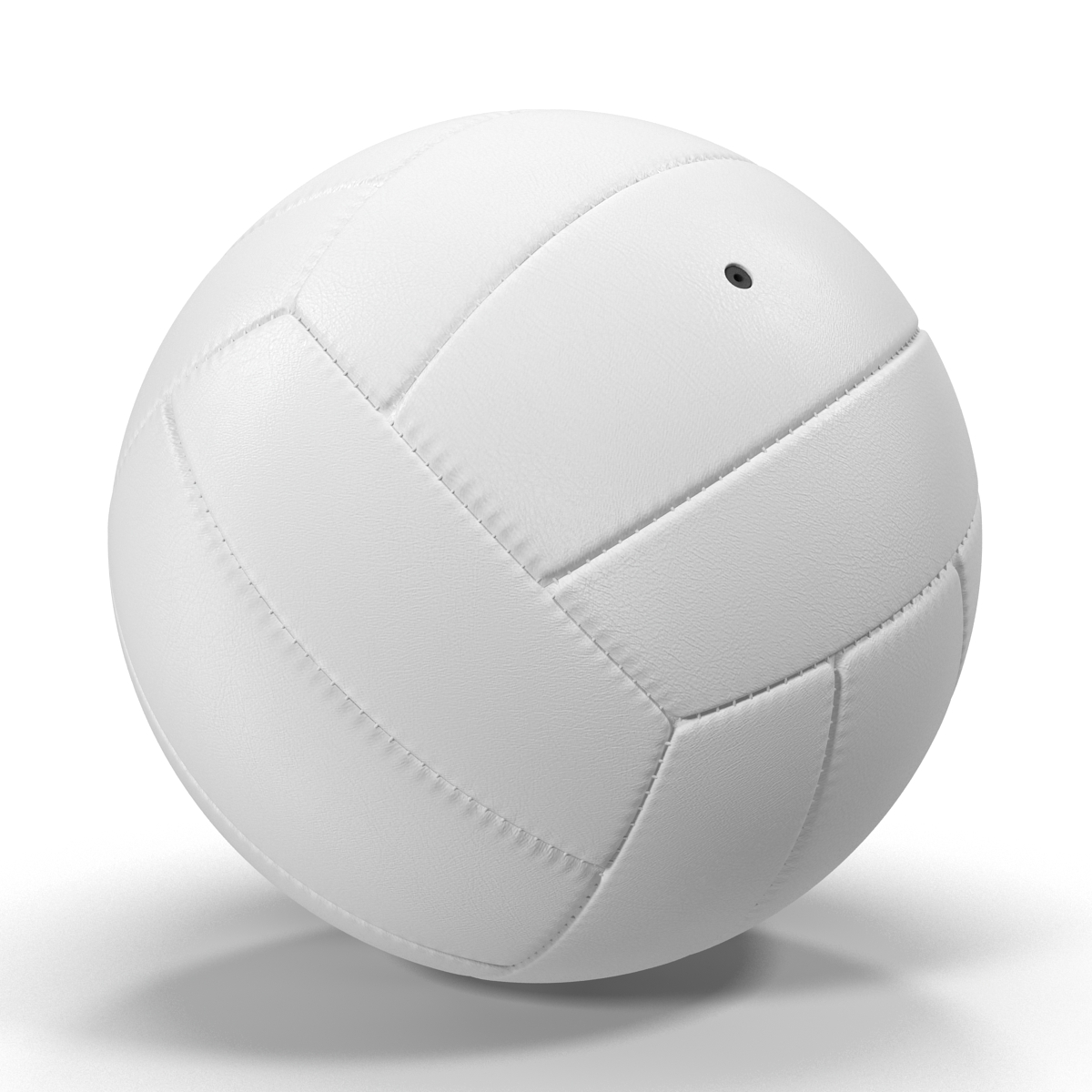 3D model Volleyball Ball