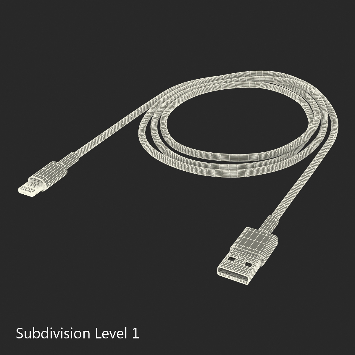 3D Apple Lightning to USB Cable model