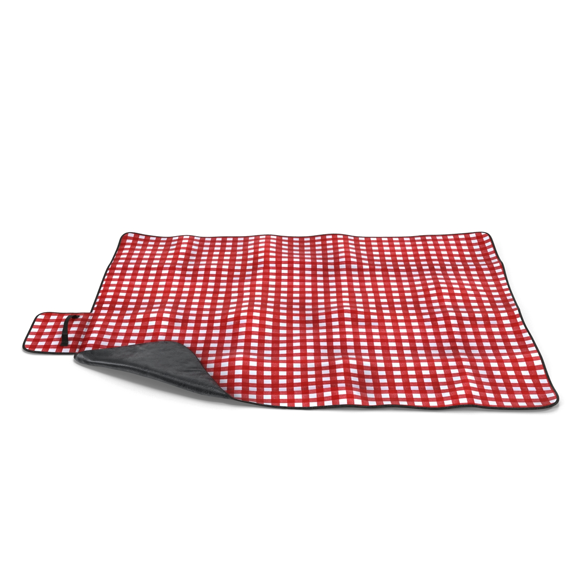 3D Picnic Blanket Red model