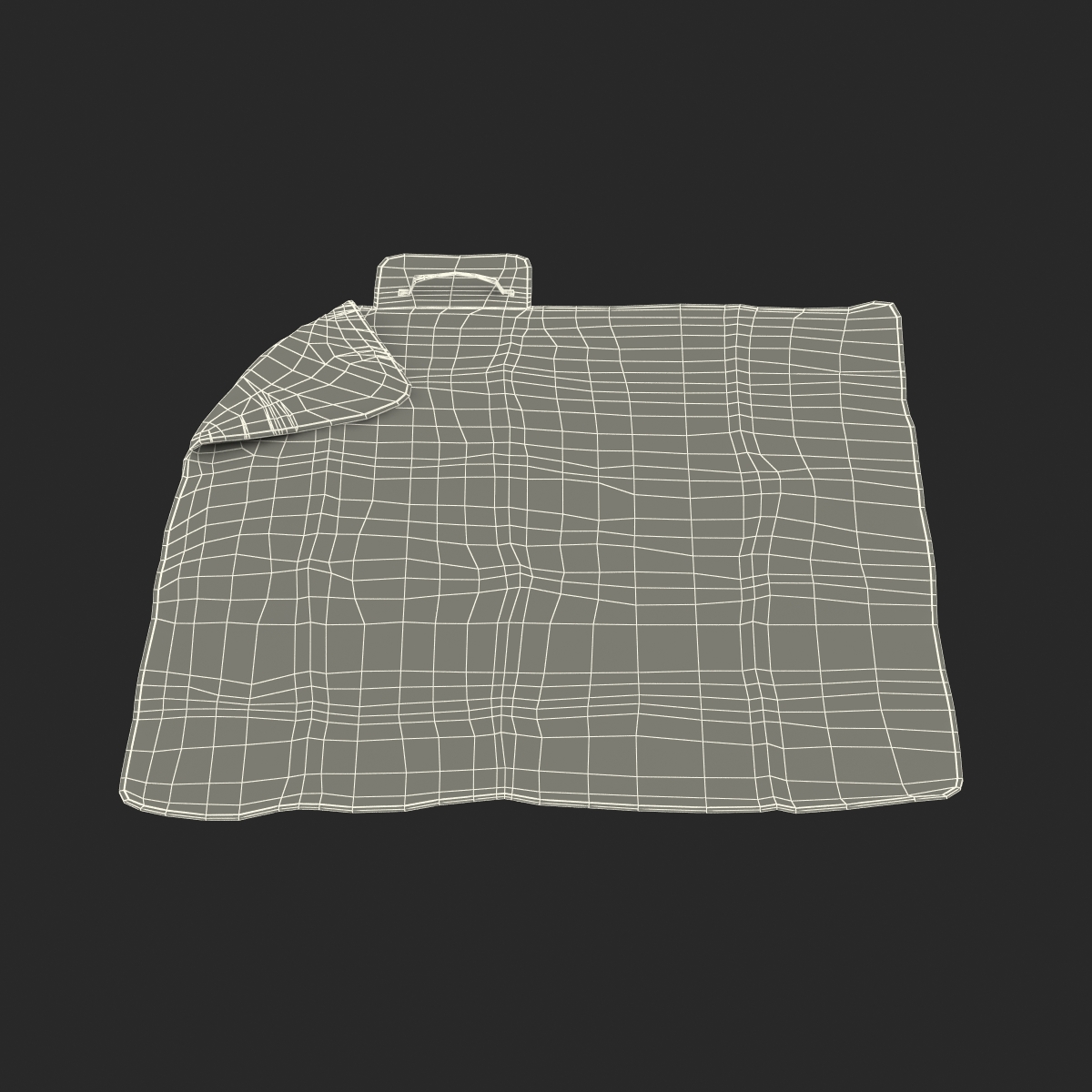 3D Picnic Blanket Red model