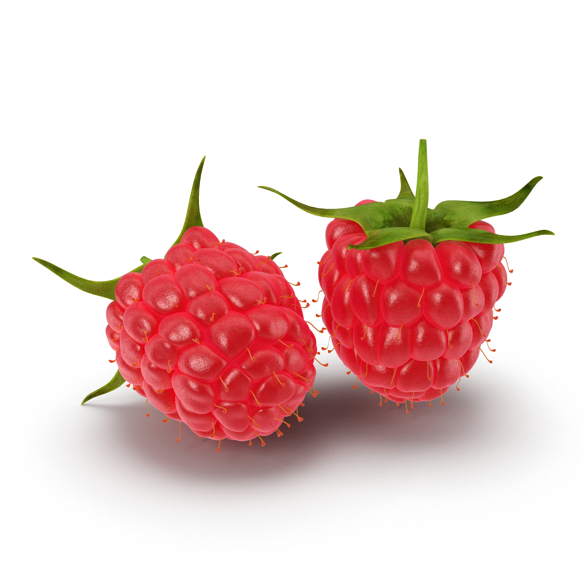 Raspberry 3D model