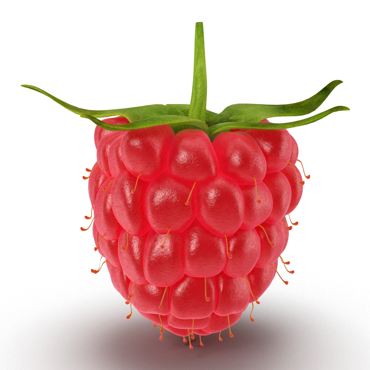 Raspberry 3D model