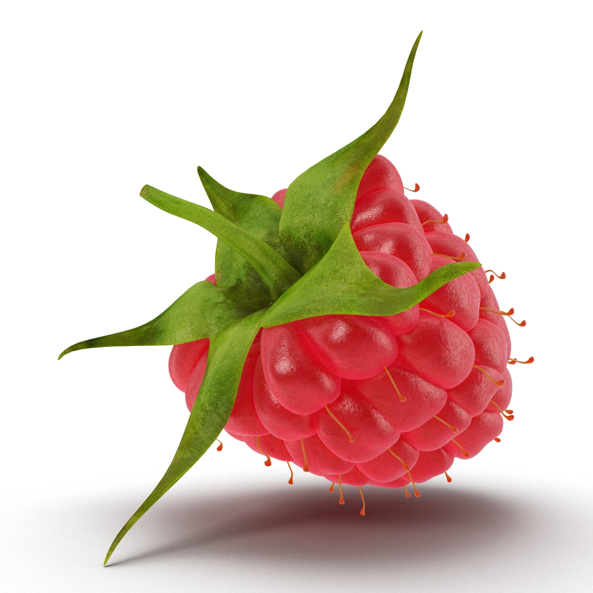 Raspberry 3D model