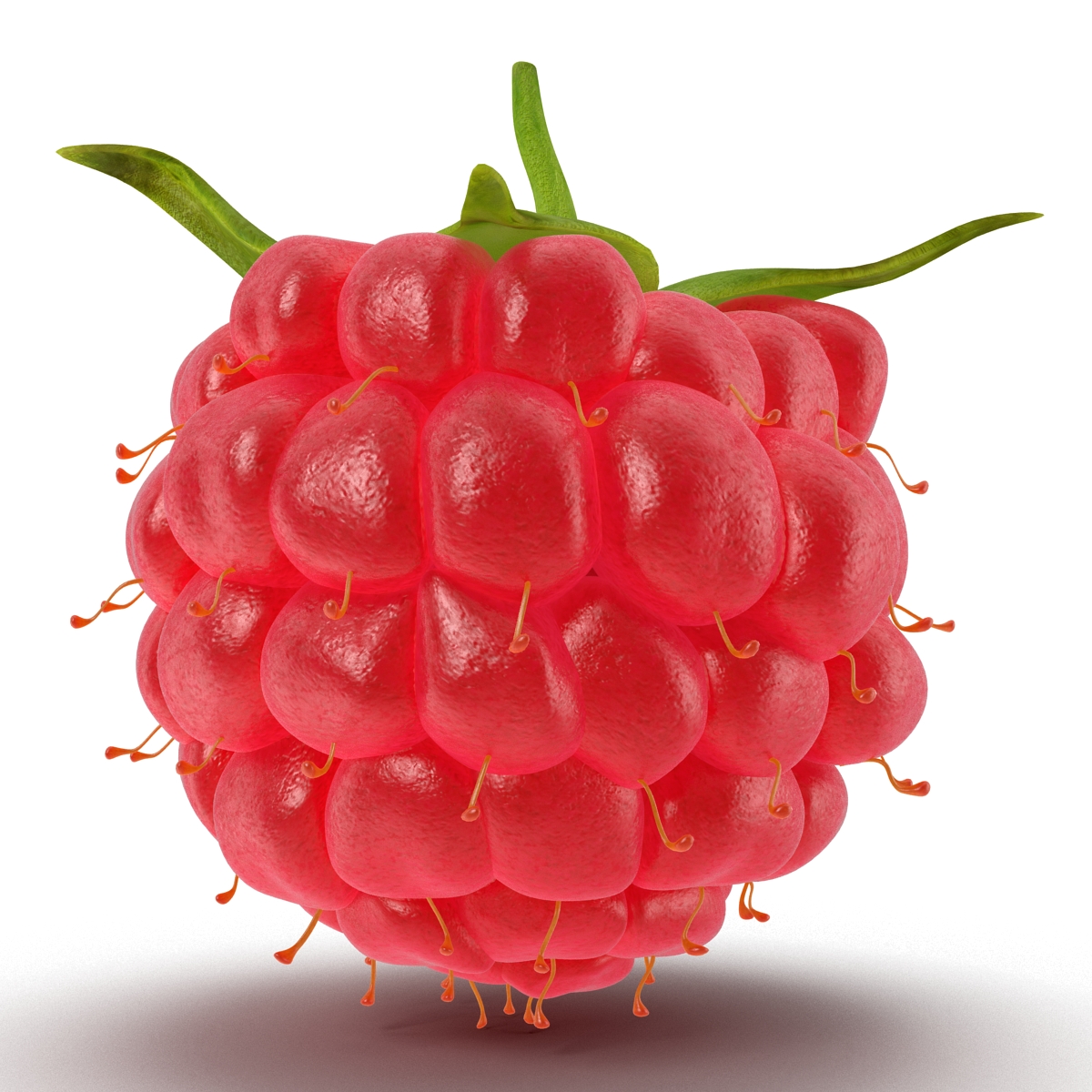 3D Raspberry 2