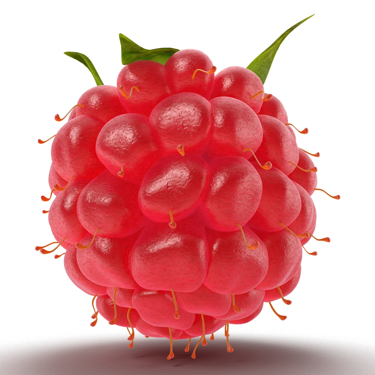 3D Raspberry 2