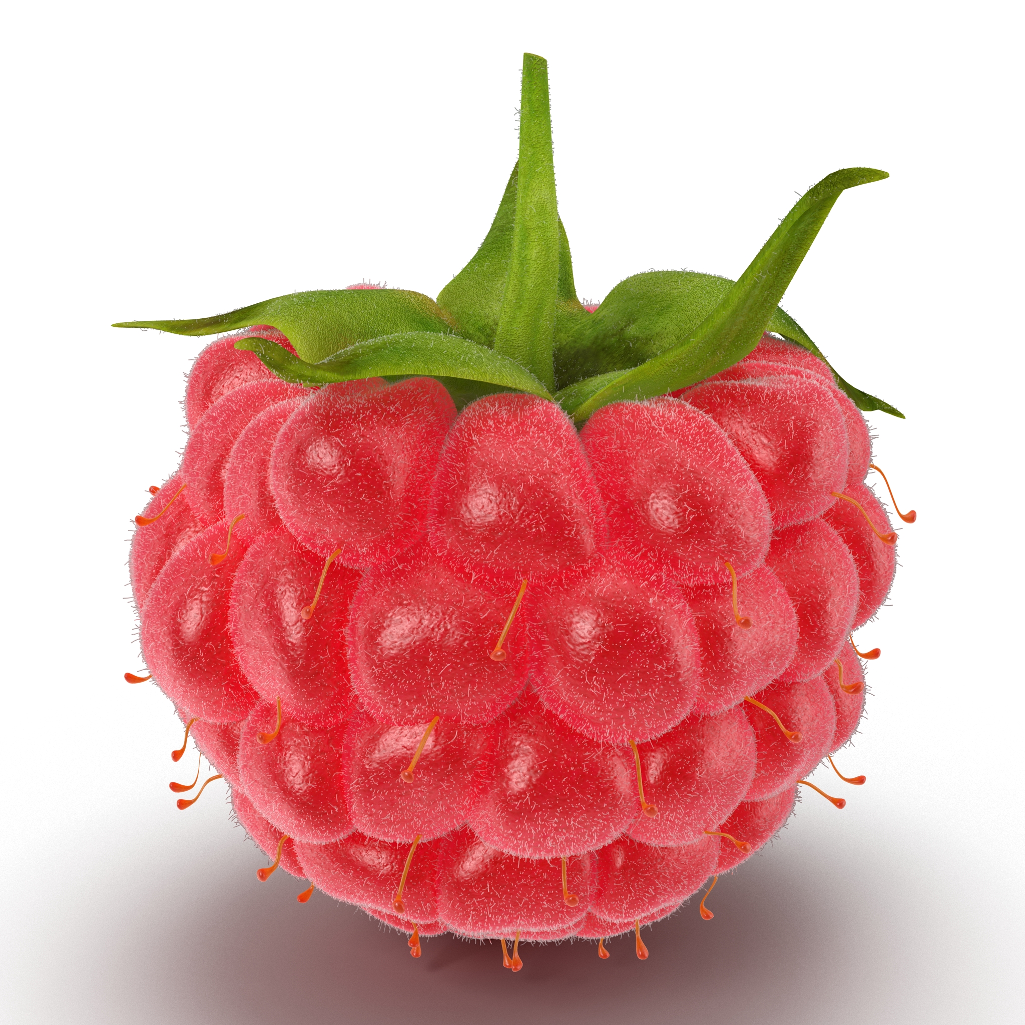 3D model Raspberry 2 with Fur