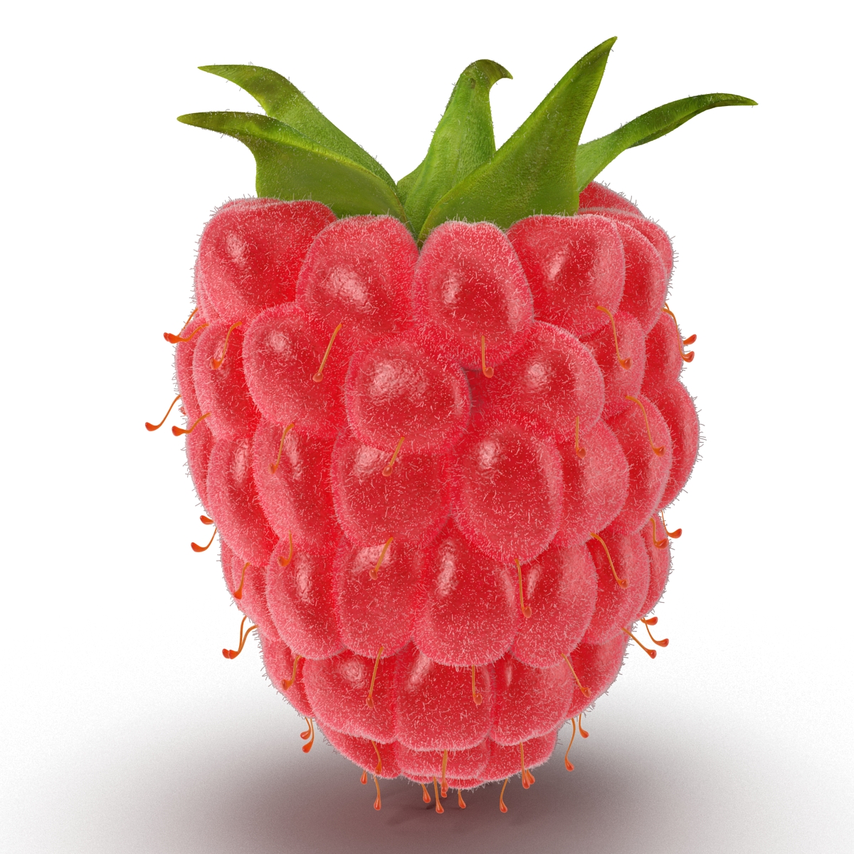 3D model Raspberry 3 with Fur