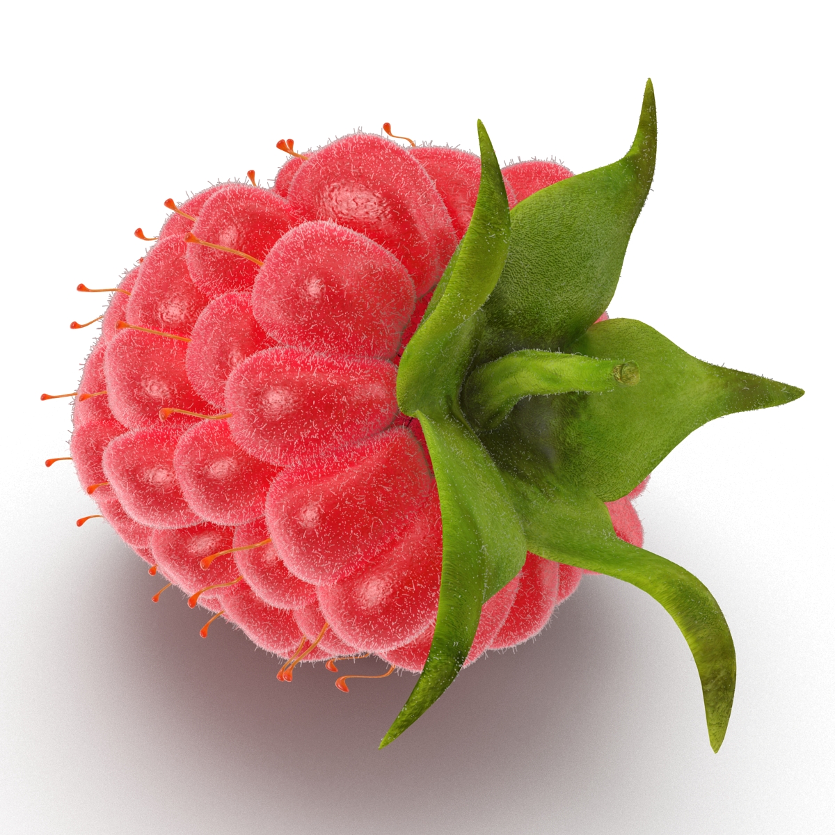 3D model Raspberry 3 with Fur