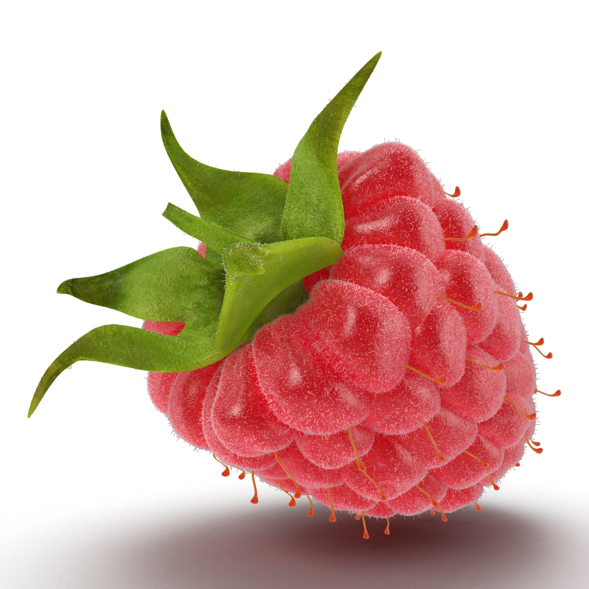 3D model Raspberry 3 with Fur