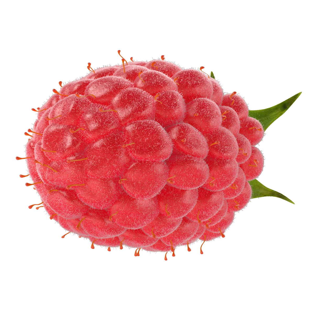 3D model Raspberry 3 with Fur