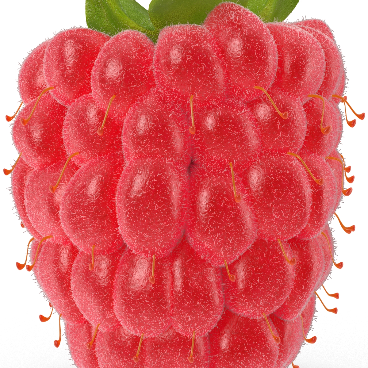 3D model Raspberry 3 with Fur