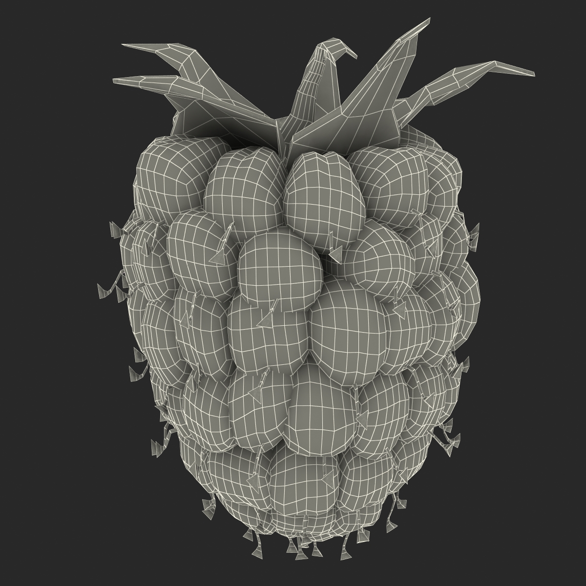 3D model Raspberry 3 with Fur