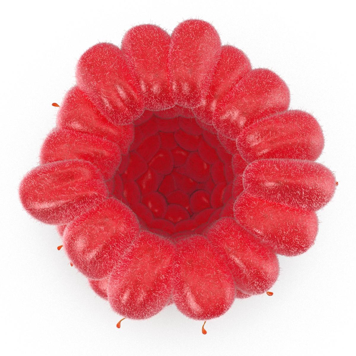 3D model Raspberry 5 with Fur