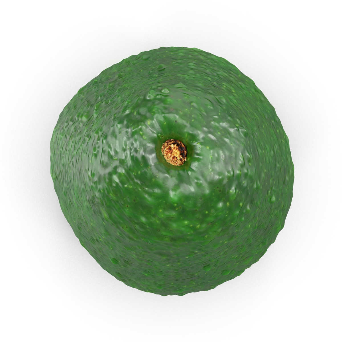 Avocado 3 3D model