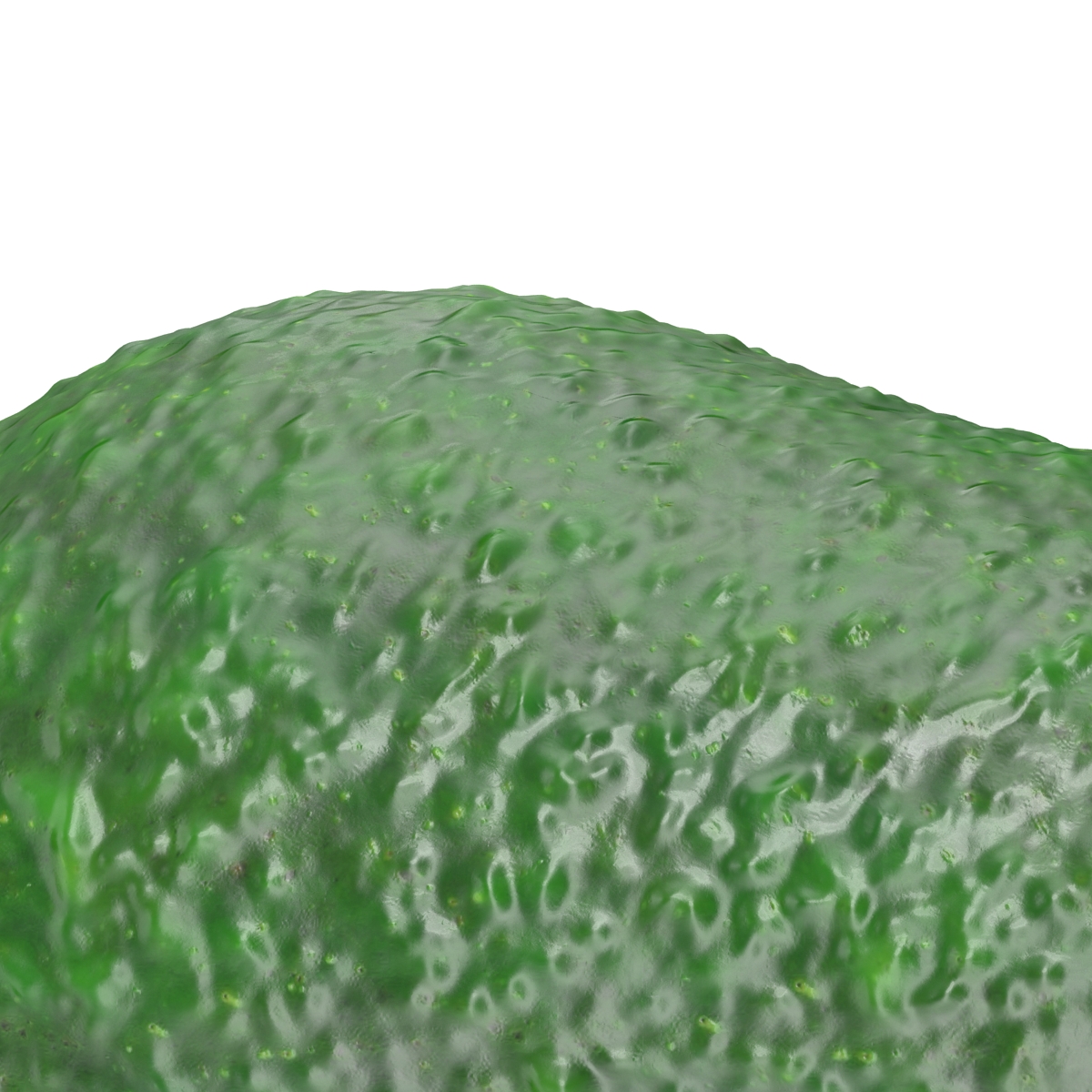 Avocado 3 3D model