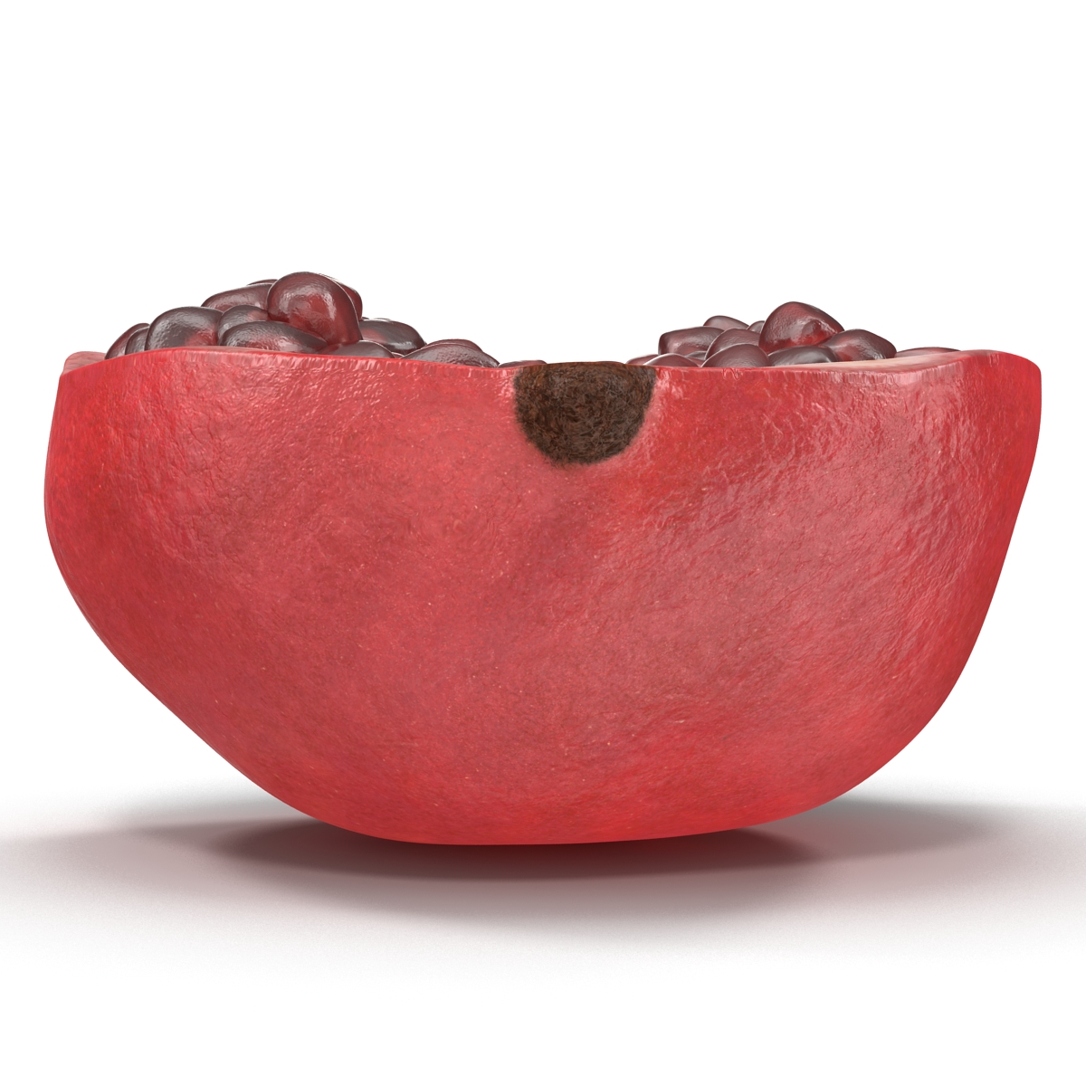 Pomegranate Cross Section 3 3D