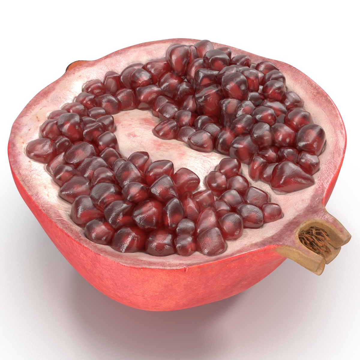 Pomegranate Cross Section 3 3D