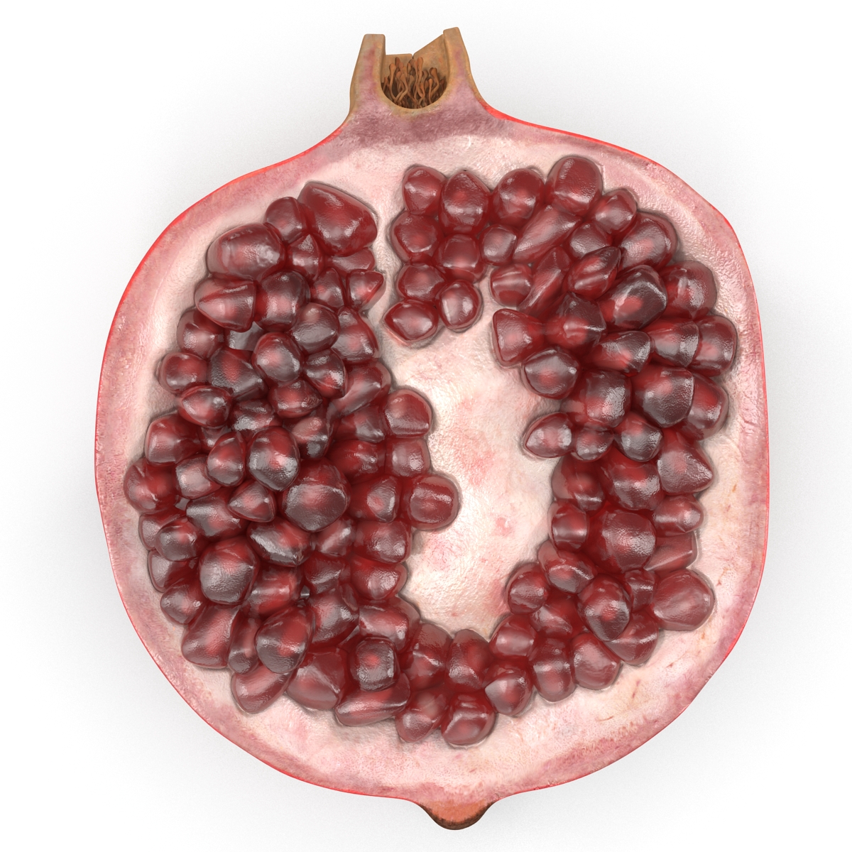 Pomegranate Cross Section 3 3D